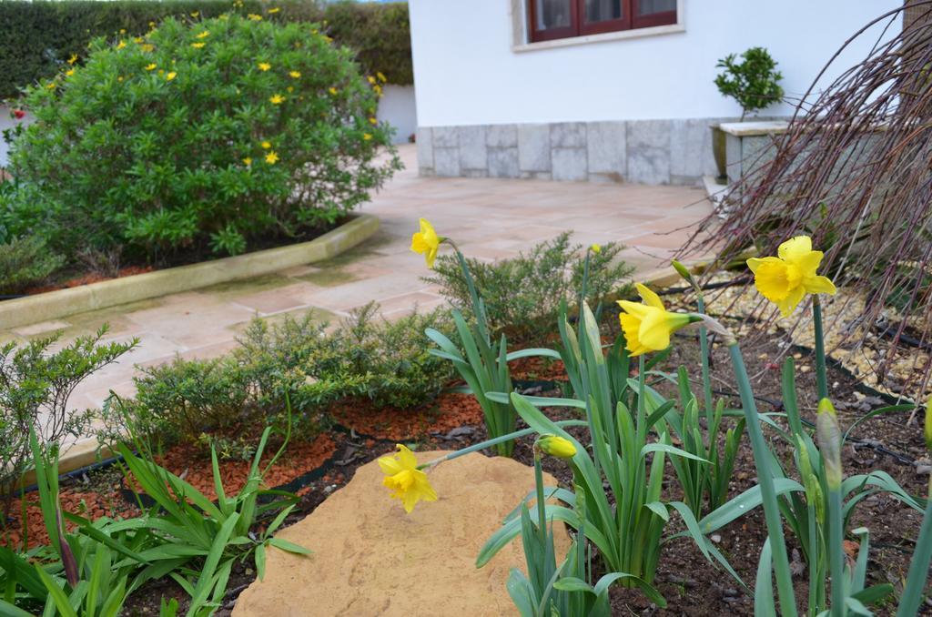 Villa Beija-Flor House Ribamar  Exterior foto