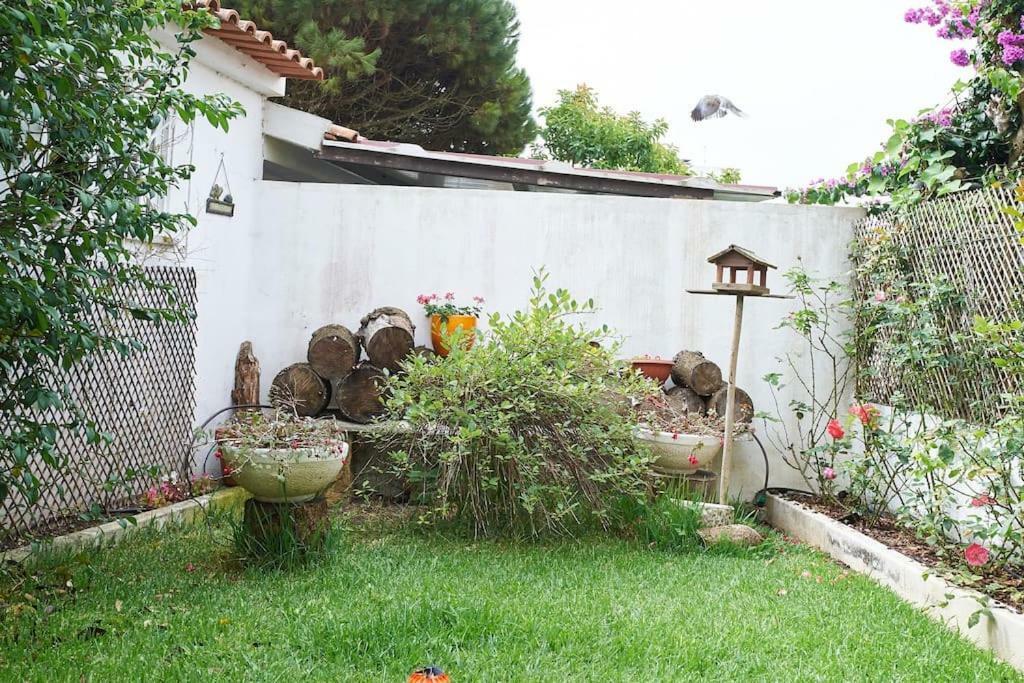 Villa Beija-Flor House Ribamar  Exterior foto